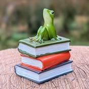 Frog Librarian