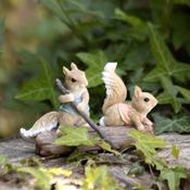 Rowing Squirrels