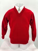 Red Jumper image