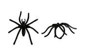 Plastic Spider Cupcake Topper Ring 25pk (Non Edible) image