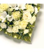 Loose Heart Cream &amp;amp; White Tributes