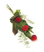 3 Rose Sheaf - Red