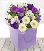 Vintage Purples