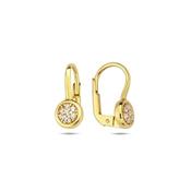 9K Yellow Gold Hoop Earrings with CZ stones image