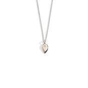 Enibas Buíochas Go Deo Silver &amp; Gold Small Single Necklace