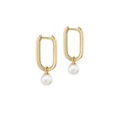 9ct Gold Rectangular Pearl Hoop Earrings image