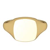 9ct Gold Medium Cushion Signet Ring image
