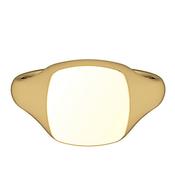 9ct Gold Medium Cushion Signet Ring image