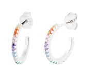 Multi Coloured Hoop Earrings image