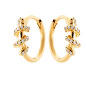 Burren Sonder Earrings image