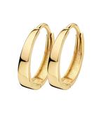 Blush Oorringen Earrings image