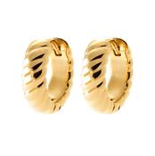 Burren Strong Bond Earrings image