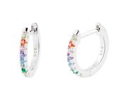 S/S Multi Coloured Hinged Hoop Earrings image