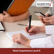 Work Experience QQI Level 5 Healthcare