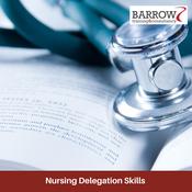 Nursing Delegation Skills - Groups Only image