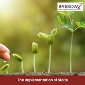 The Implementation of Siolta