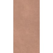 Architeq Terra Matt 120x60cm