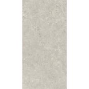 Sedina Grey Matt 120x60cm image
