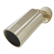Bathworks Essentials Core Spotlight Shower Head Brushed Brass image