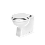 Tavistock Marston Back To Wall Toilet &amp; Soft Close Seat image