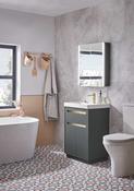 Tavistock Acumen 600 Freestanding Vanity Unit &amp; Basin image