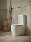 Tavistock Compass Round Fully Enclosed Close Coupled Toilet &amp; Soft Close Seat image