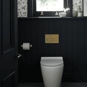 Vado Shama Wall Mounted Toilet Roll Holder