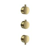 Bathworks Essentials Knurled Shower Valve Pack Brushed Brass image