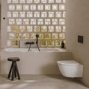 Roca Ona Compact Rimless Wall Hung Toilet