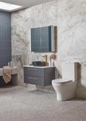 Tavistock Micra Evo Close Coupled Fully Enclosed Toilet &amp; Soft Close Seat image