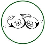 book of kells #4 — be alice.