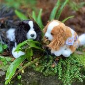 Spaniel Soft Toy Dog