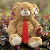 Large Red Tie Teddy image