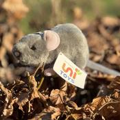 Grey Mouse Soft Toy image
