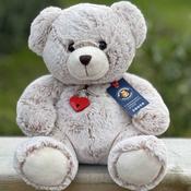 Lock And Key Teddy image