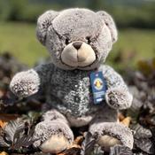 Mr Cardigan Teddy Bear image