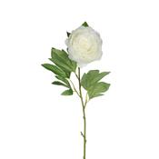 Cream Peony Stem Artificial Flower 76cm image