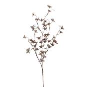 Pittosporum Branch Purple 120cm image