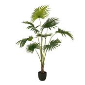 Mica Decorations Fan Palm in Pot Green 1.6m image