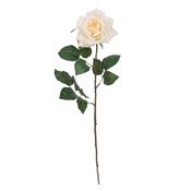 Mica Decorations Rose Emily Cream 66cm image