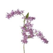 Polyester Wisteria on Stem Spray Lilac image