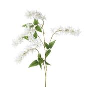 Polyester Wisteria on Stem Spray White image