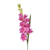 Gladiolus Flower on Stem Polyester Fuchsia Pink image
