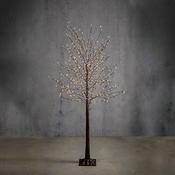 Brown Lit Twig Tree with 576 Classic White LEDs and Timer 180cm (6ft) image