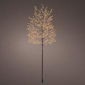 Lumineo Micro 720 Classic Warm LED Black Tree Outdoor 180cm (6ft) image