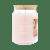 Wax Lyrical Large Jar Candle – Spring in the Park image