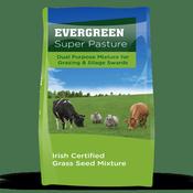 Evergreen Super Pasture- Dual Purpose Mixture image