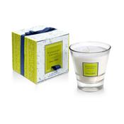 TIPPERARY CRYSTAL Lemon &amp; Mint Filled Tumbler Glass