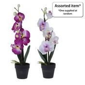 Artificial Orchid in Pot 38cm