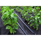 Weed Control Woven Fabric 120gm 2m x 50m image